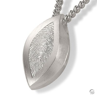 fingerprint assieraad zilver oog met askamer