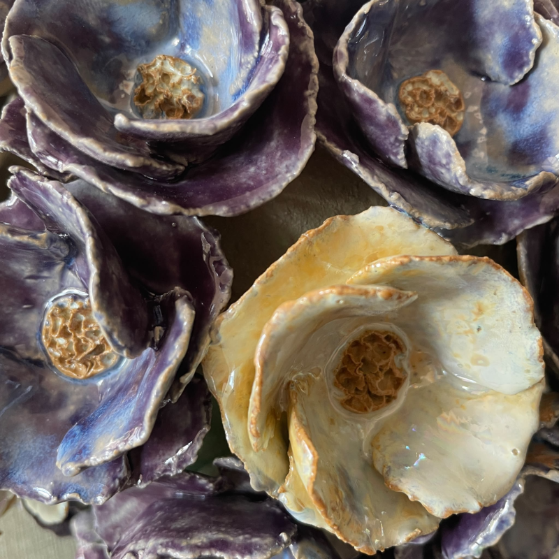 klaproos bloemen bol urn